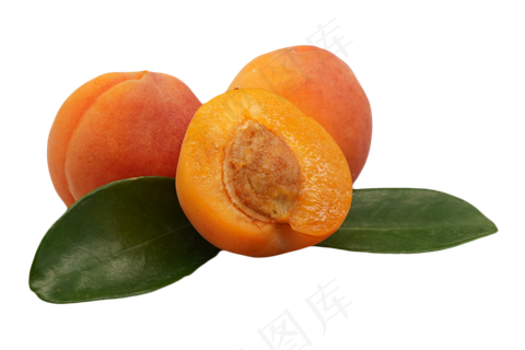 有机黄杏 有机黄杏