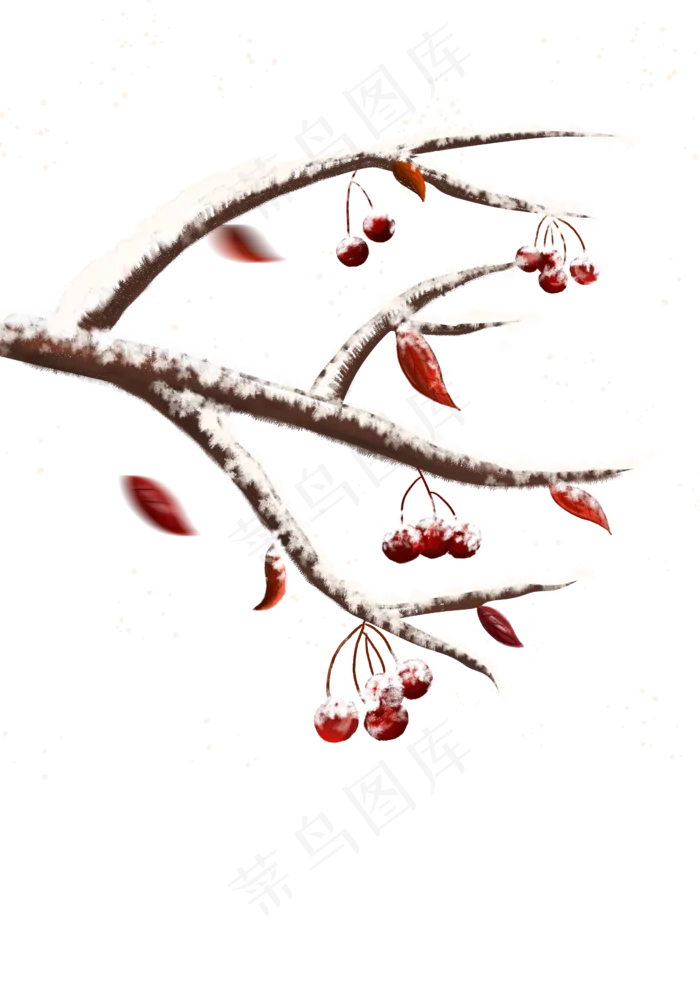 冬季挂霜果子树,免抠元素(2480X3508(DPI:300))psd模版下载