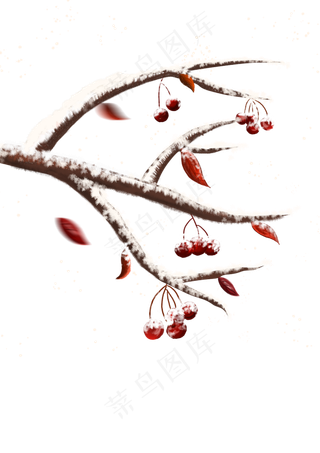 冬季挂霜果子树,免抠元素