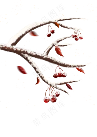 冬季挂霜果子树,免抠元素