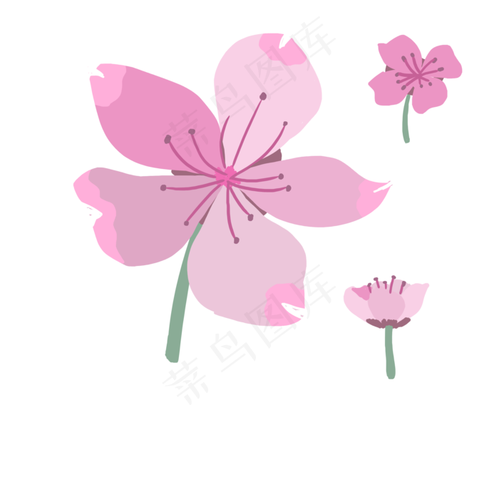 粉色的漂亮樱花插画