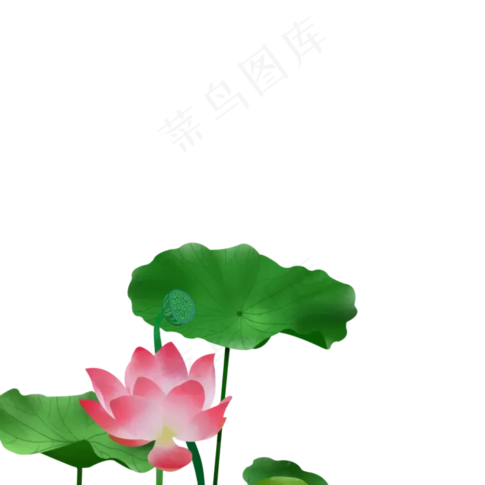 手绘荷花免抠节气素材(2000X2000(DPI:300))psd模版下载