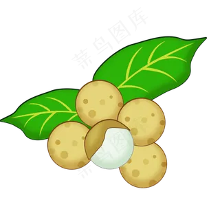 卡通龙眼立秋png素材