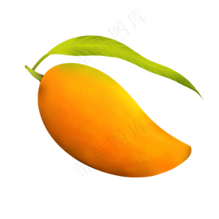 夏天水果芒果卡通