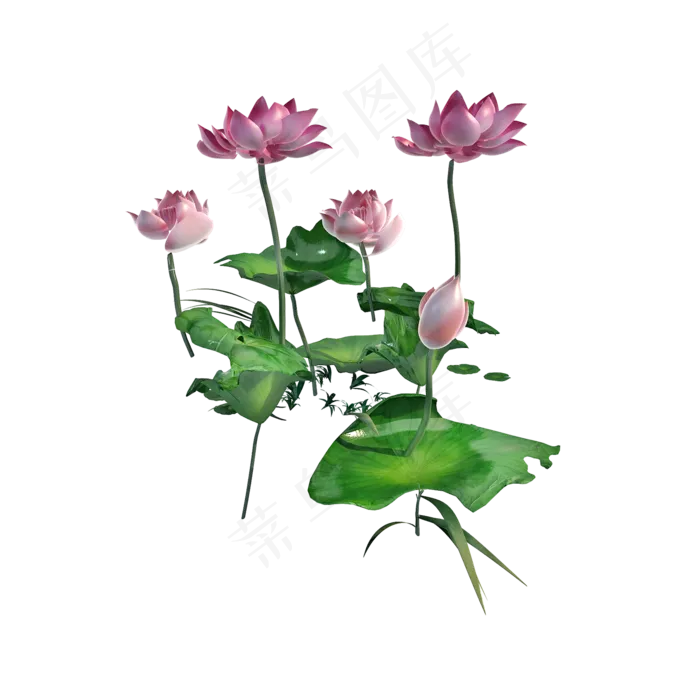 仿真荷花png图(2000X2000(DPI:300))psd模版下载