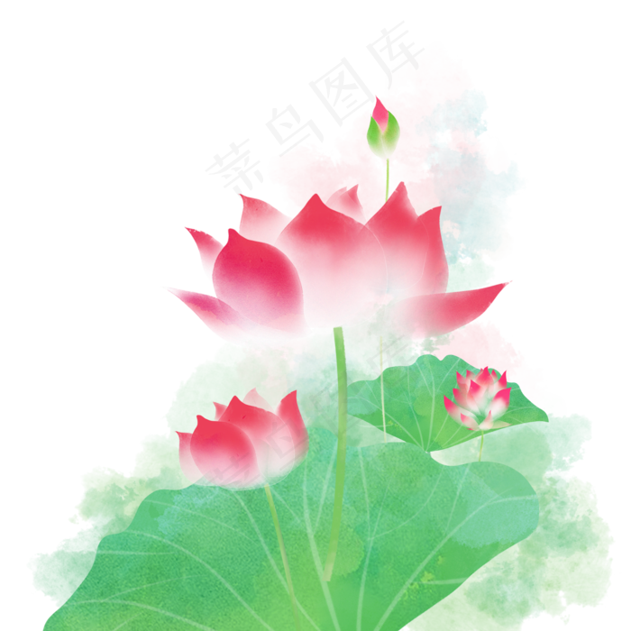 荷叶荷花莲子(2000X2000(DPI:300))psd模版下载