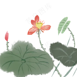 中国风古典水墨风格荷花