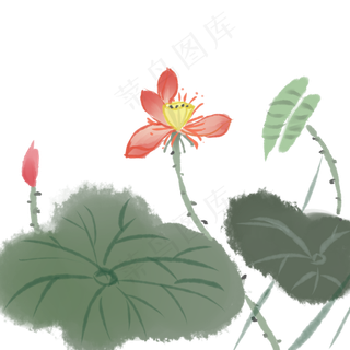 中国风古典水墨风格荷花