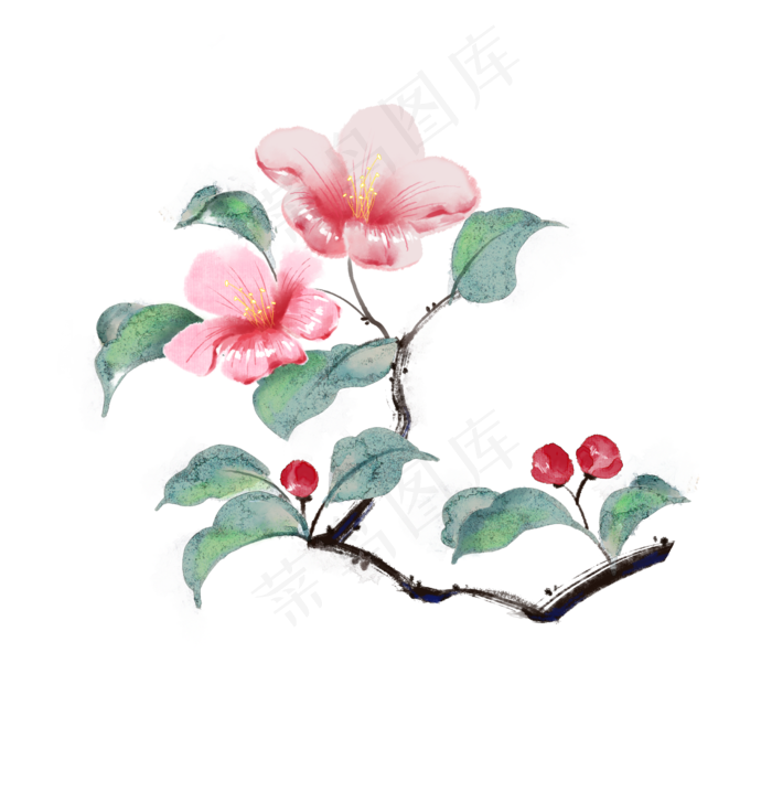 粉色杜鹃水彩花卉