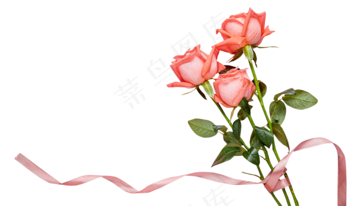 七夕鲜艳芬芳的玫瑰