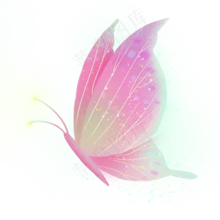 梦幻动物粉色星空蝴蝶,免抠元素