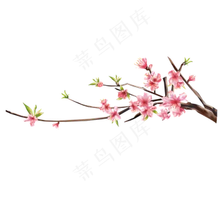 手绘可拆分美丽清新桃花元素,免抠元素