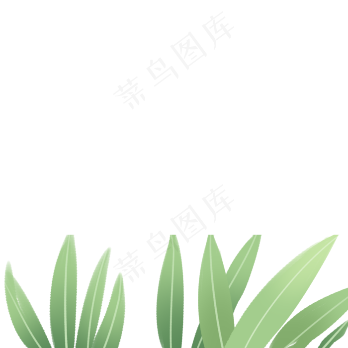 绿色的植物免扣图