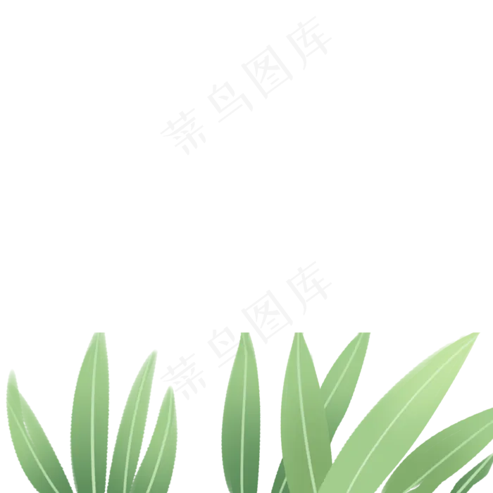 绿色的植物免扣图(2000X2000(DPI:300))psd模版下载