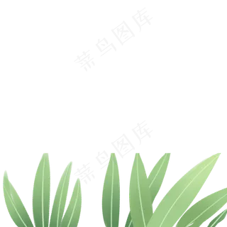 绿色的植物免扣图