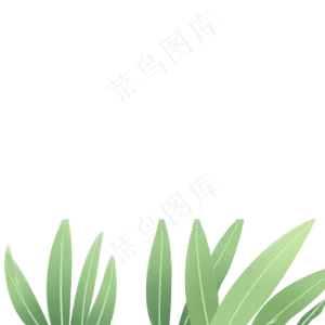 绿色的植物免扣图