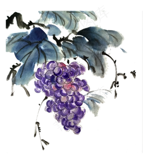 国画水墨葡萄提子夏天紫色PNG