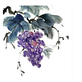 国画水墨葡萄提子夏天紫色PNG
