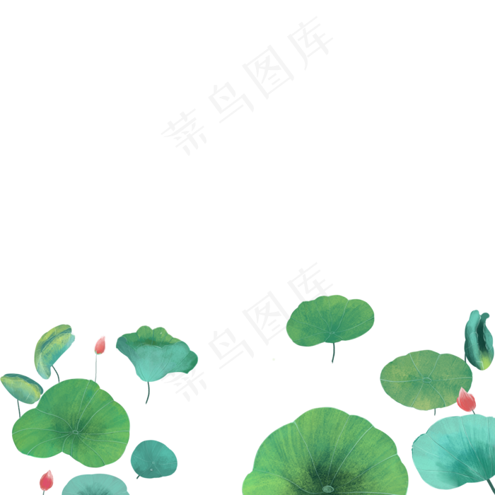 绿色的荷叶免抠图(2000X2000(DPI:300))psd模版下载