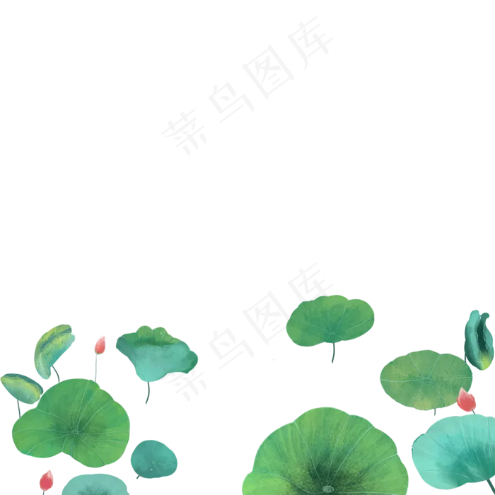 绿色的荷叶免抠图(2000X2000(DPI:300))psd模版下载