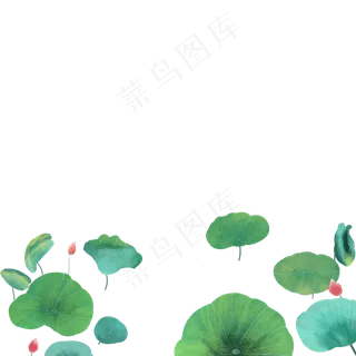 绿色的荷叶免抠图 绿色的荷叶免抠图
