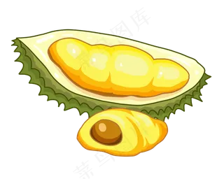 新鲜水果榴莲肉