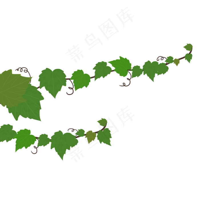卡通绿色植物葡萄藤,免抠元素(2000X2000(DPI:300))psd模版下载