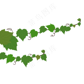 卡通绿色植物葡萄藤,免抠元素