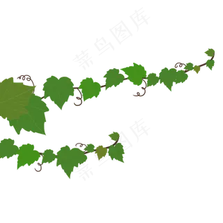 卡通绿色植物葡萄藤,免抠元素