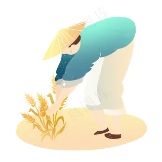 芒种麦子收获农民素材