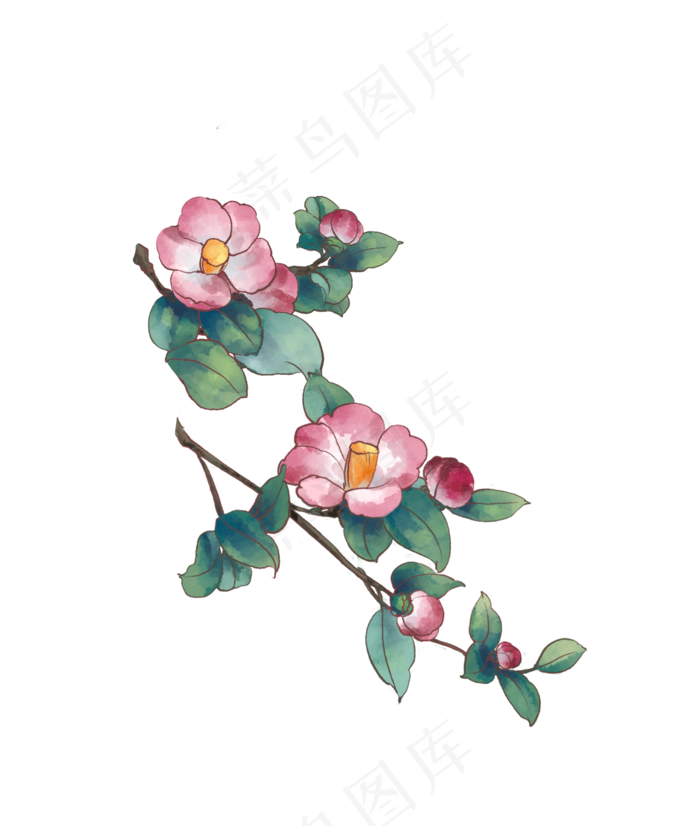 中国风国画水墨茶花(1292X1525(DPI:300))psd模版下载