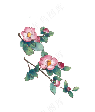 中国风国画水墨茶花