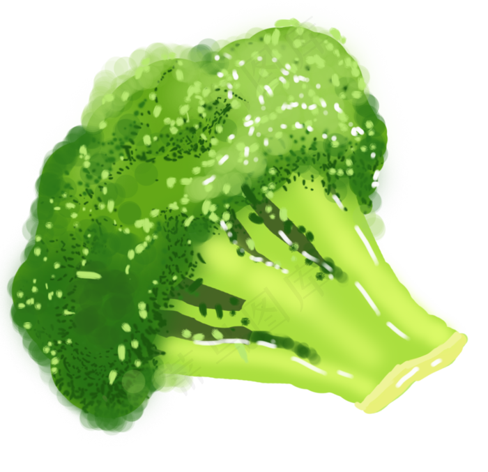 绿色有机蔬菜插图(2000X2000(DPI:300))psd模版下载