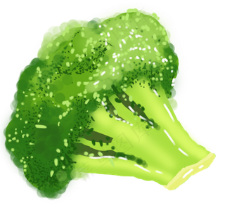 绿色有机蔬菜插图