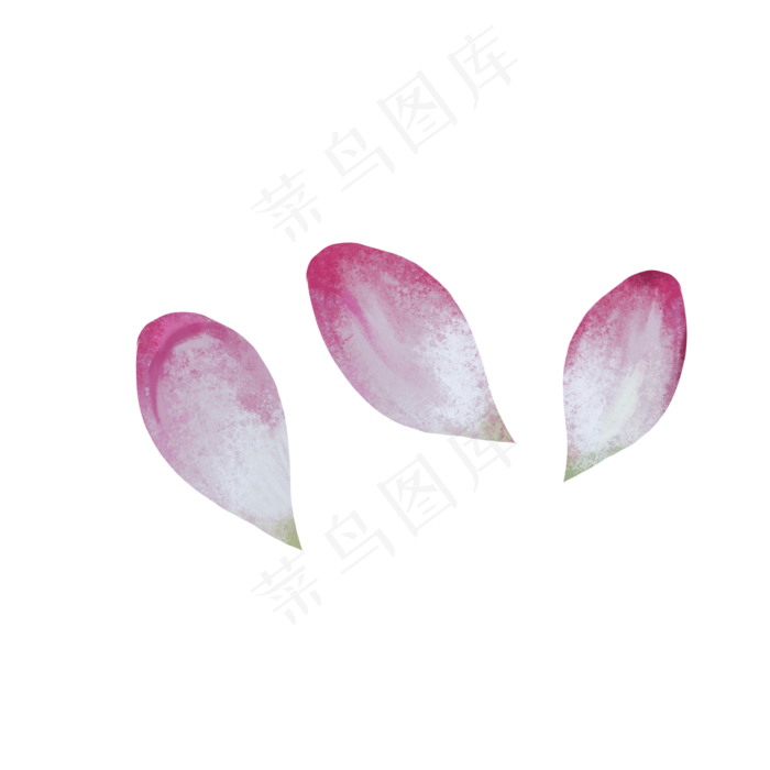 粉色荷花瓣(2000*2000px 72 dpi )psd模版下载
