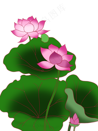 手绘卡通矢量荷花
