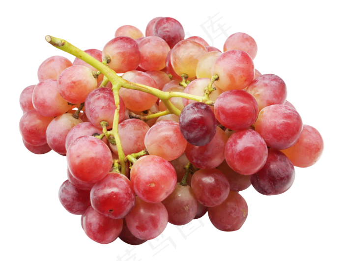 一串红葡萄,免抠元素