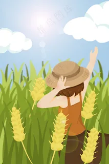 二十四节气小满稻谷