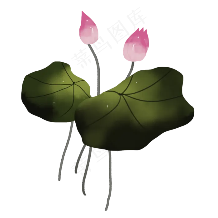 彩色荷花png素材(2000X2000(DPI:300))psd模版下载