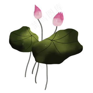 彩色荷花png素材