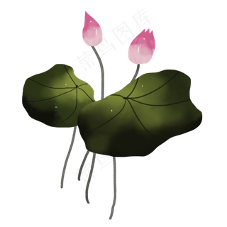 彩色荷花png素材