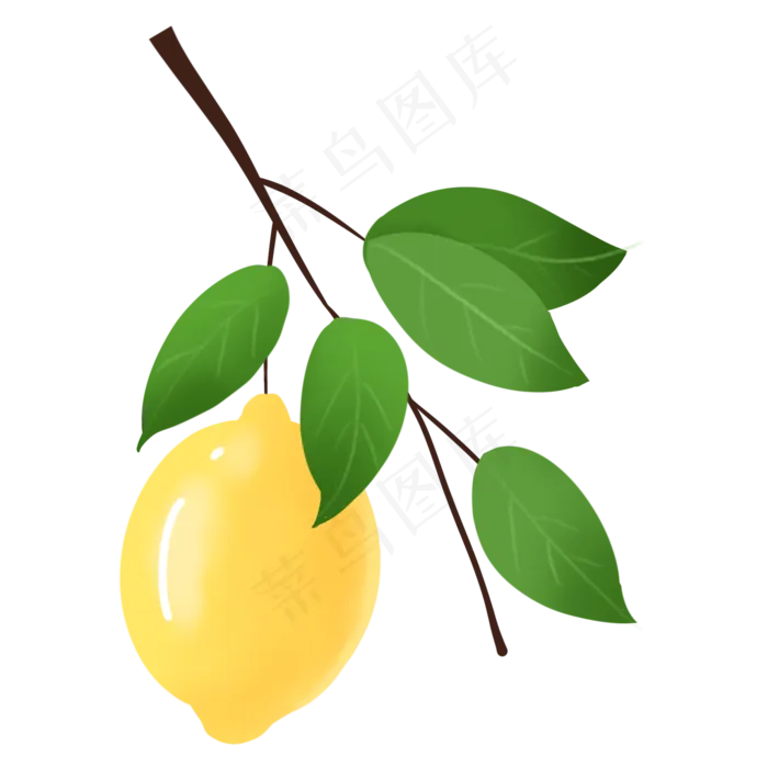 水粉柠檬叶图片素材