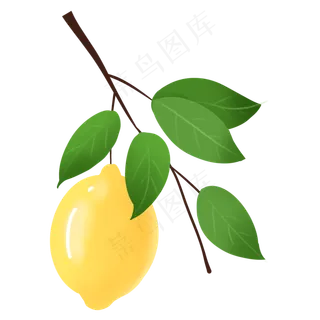 水粉柠檬叶图片素材