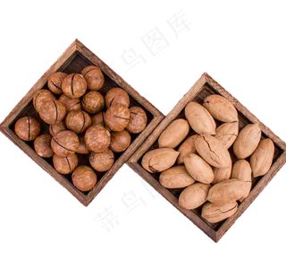 夏威夷坚果碧根果,免抠元素