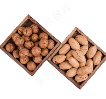 夏威夷坚果碧根果,免抠元素 夏威夷坚果碧根果,免抠元素