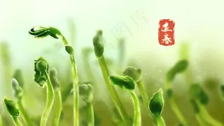 二十四节气之立春