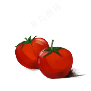 美味的番茄水果