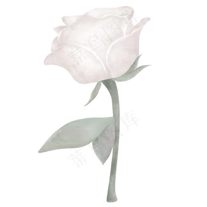 典雅手绘白色玫瑰花(2000X2000(DPI:300))psd模版下载
