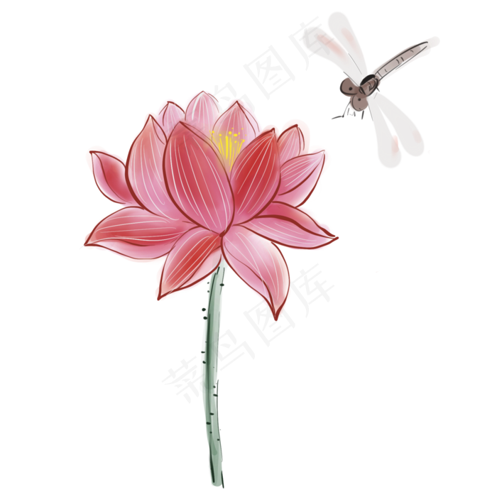 古风水墨荷花和蜻蜓
