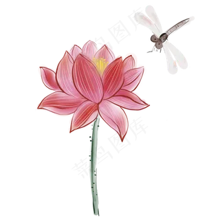 古风水墨荷花和蜻蜓